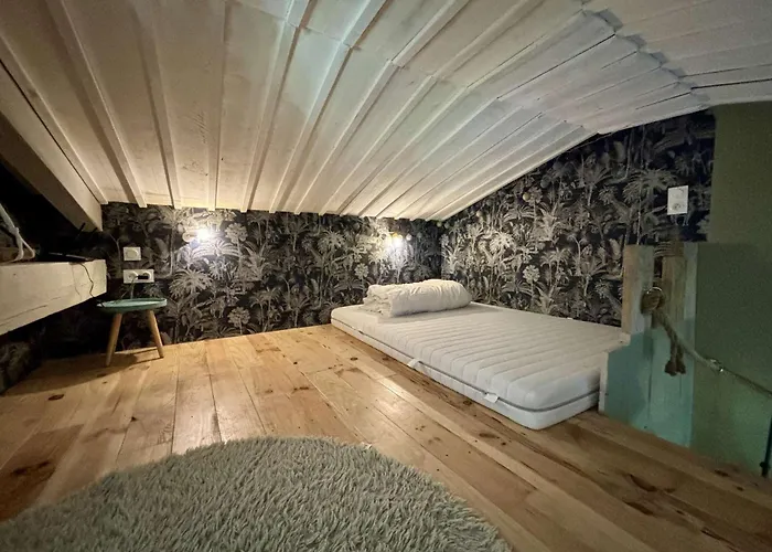 Saint Georges D'oléron - Maison 4 Couchages Sg000-050 Villa *